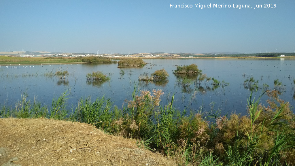 Laguna Dulce - Laguna Dulce. 