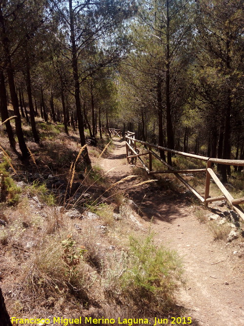 Sendero del Pecho de la Fuente y Cueva Palomera - Sendero del Pecho de la Fuente y Cueva Palomera. 