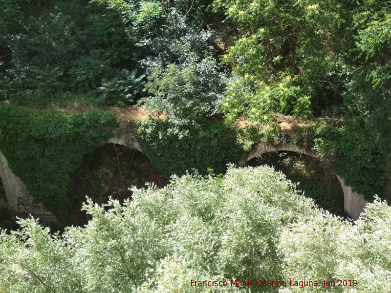 Acueducto del Ro Darro - Acueducto del Ro Darro. 