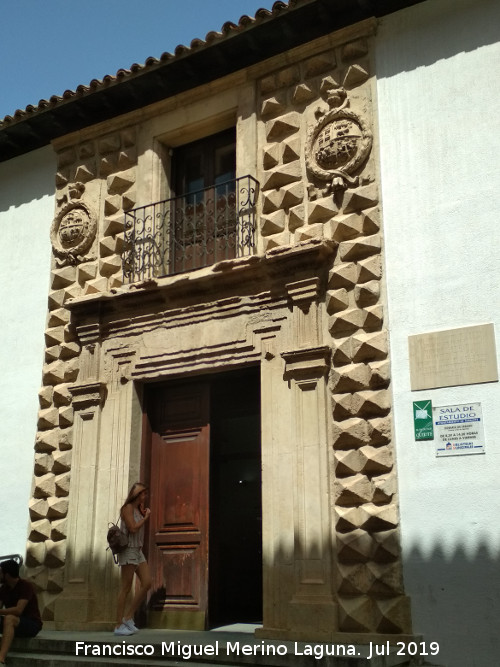 Palacio de los Condes de Villaleal - Palacio de los Condes de Villaleal. Portada de los Picos