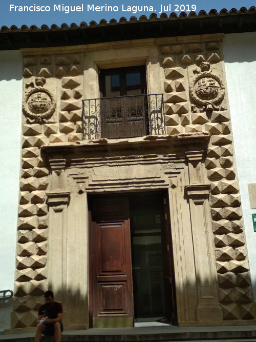 Palacio de los Condes de Villaleal - Palacio de los Condes de Villaleal. Portada de los Picos