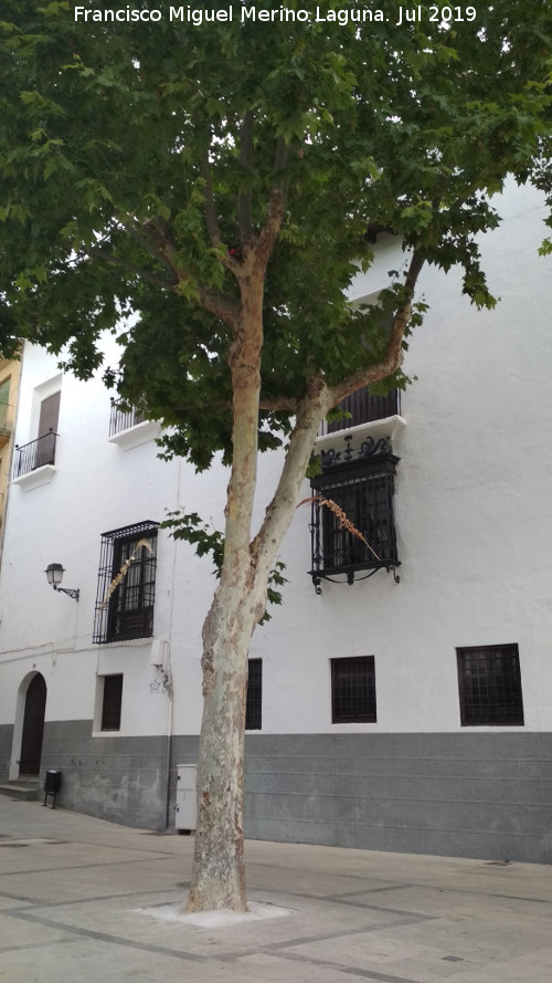 Casa de la Calle Alhondiga n 2 - Casa de la Calle Alhondiga n 2. 