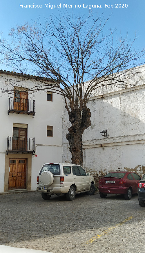 Calle Santo Domingo - Calle Santo Domingo. Una de las dos plazoletas que tiene la calle
