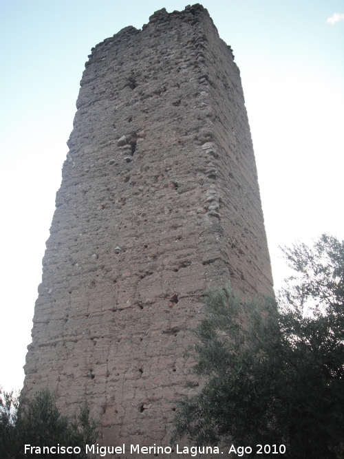 Torre Sur de Santa Catalina - Torre Sur de Santa Catalina. 