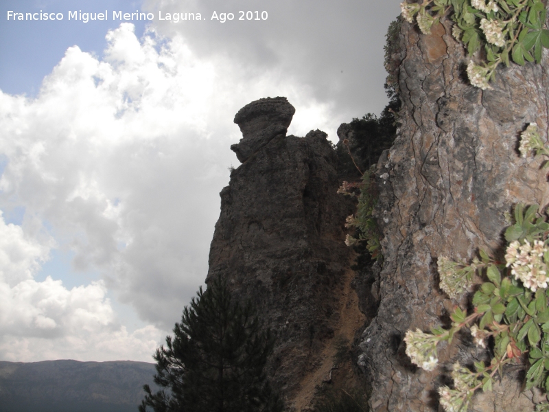 Gigante de Gontar - Gigante de Gontar. 