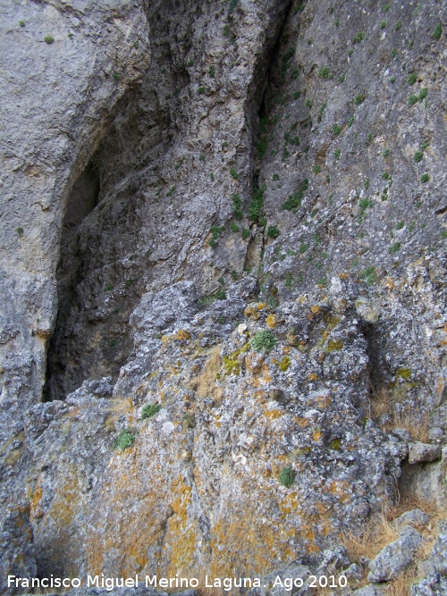 Paso de Gontar - Paso de Gontar. Entrada