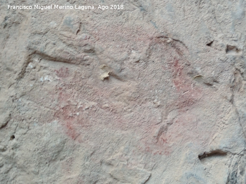 Pinturas rupestres y grabados de la Cueva de Mingo Lpez - Pinturas rupestres y grabados de la Cueva de Mingo Lpez. 