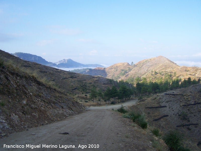 Camino de Caada del Saucar - Camino de Caada del Saucar. 