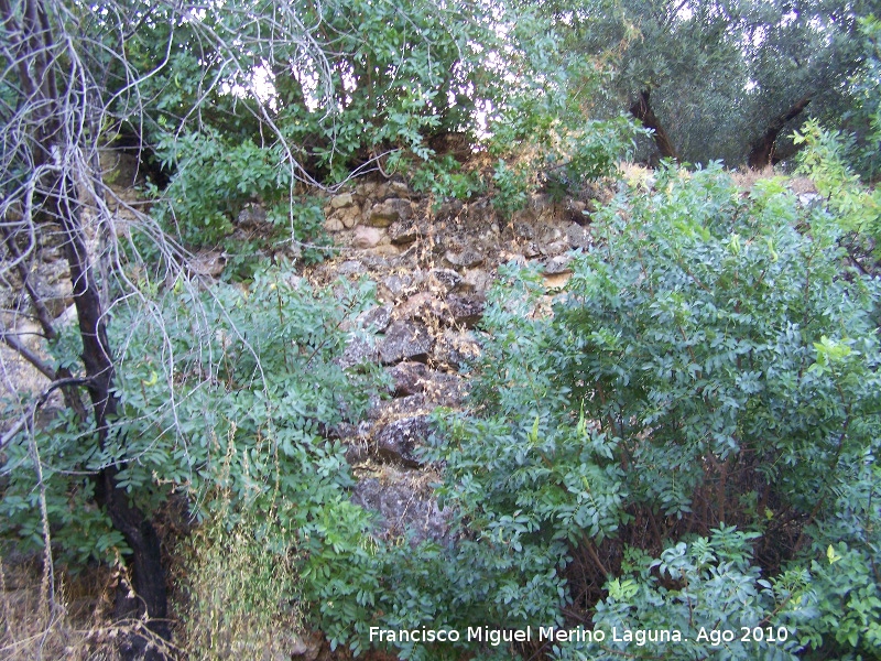 Muralla de la aldea medieval de La Espinareda - Muralla de la aldea medieval de La Espinareda. Lienzo entre la vegetacin