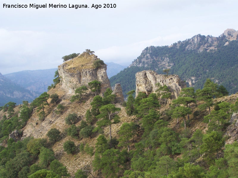 La Tejera - La Tejera. 