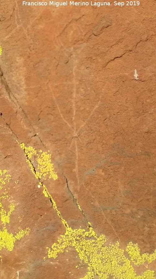 Pinturas rupestres y grabados de la Graja de Miranda II - Pinturas rupestres y grabados de la Graja de Miranda II. Antropomorfo
