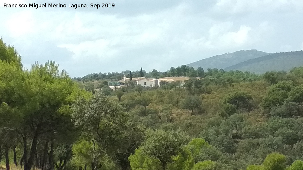 Cortijo del Jaral - Cortijo del Jaral. 