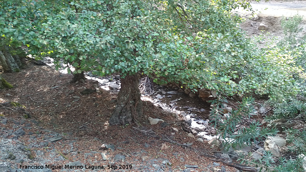 Arroyo del Batn - Arroyo del Batn. 