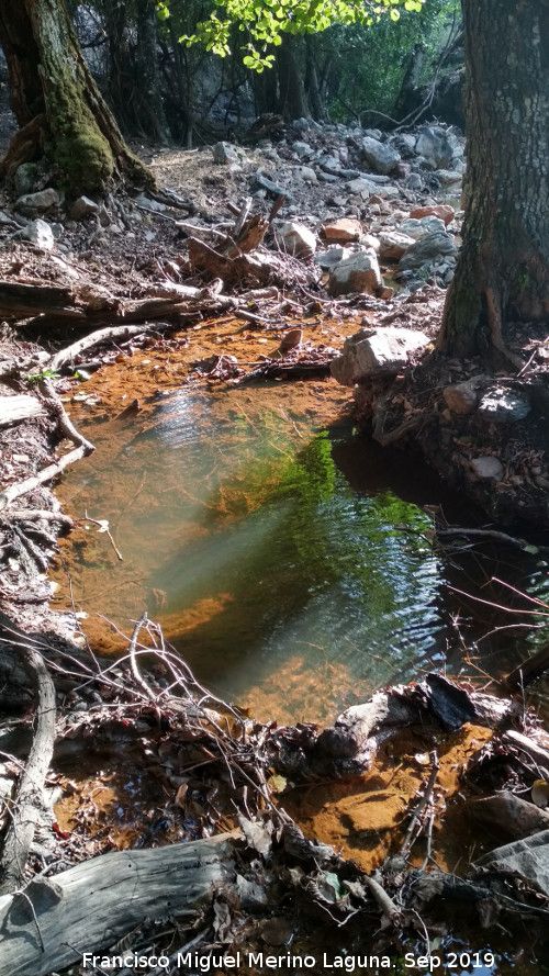 Arroyo del Batn - Arroyo del Batn. 