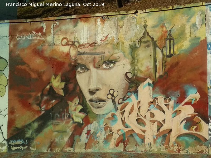 Graffiti del Recinto Ferial IV - Graffiti del Recinto Ferial IV. 