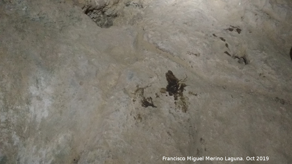 Cueva de las Cazoletas - Cueva de las Cazoletas. Bifurcacin de las canalizaciones