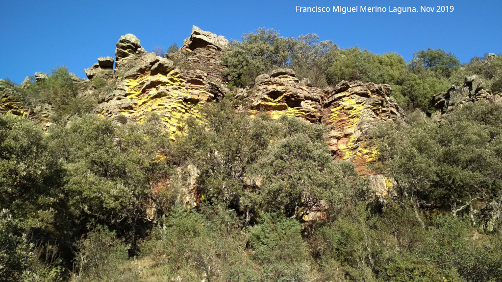 Liquen amarillo - Liquen amarillo. El Cimbarrillo - Aldeaquemada