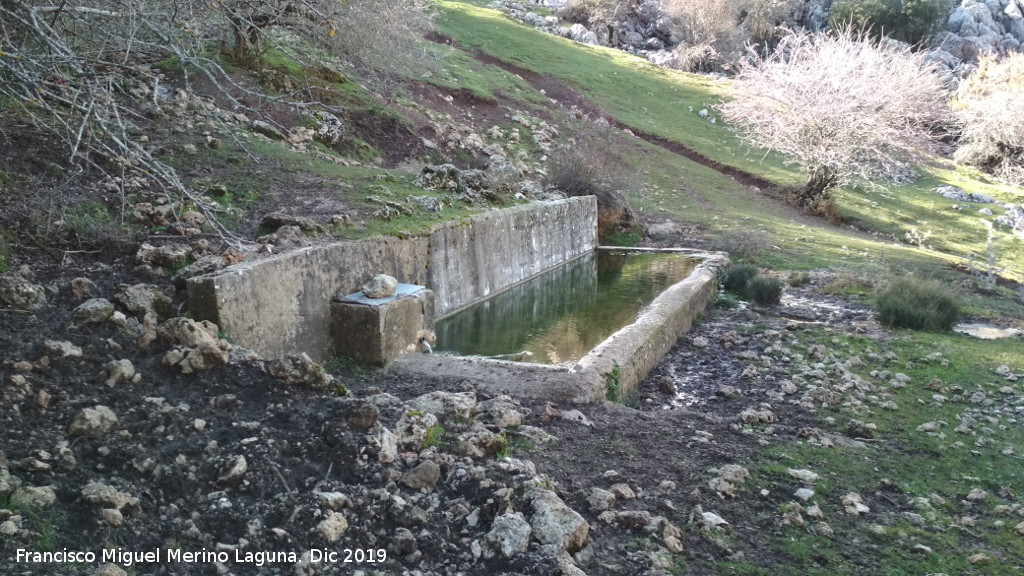 Fuente del Barranco del Tejuelo - Fuente del Barranco del Tejuelo. 