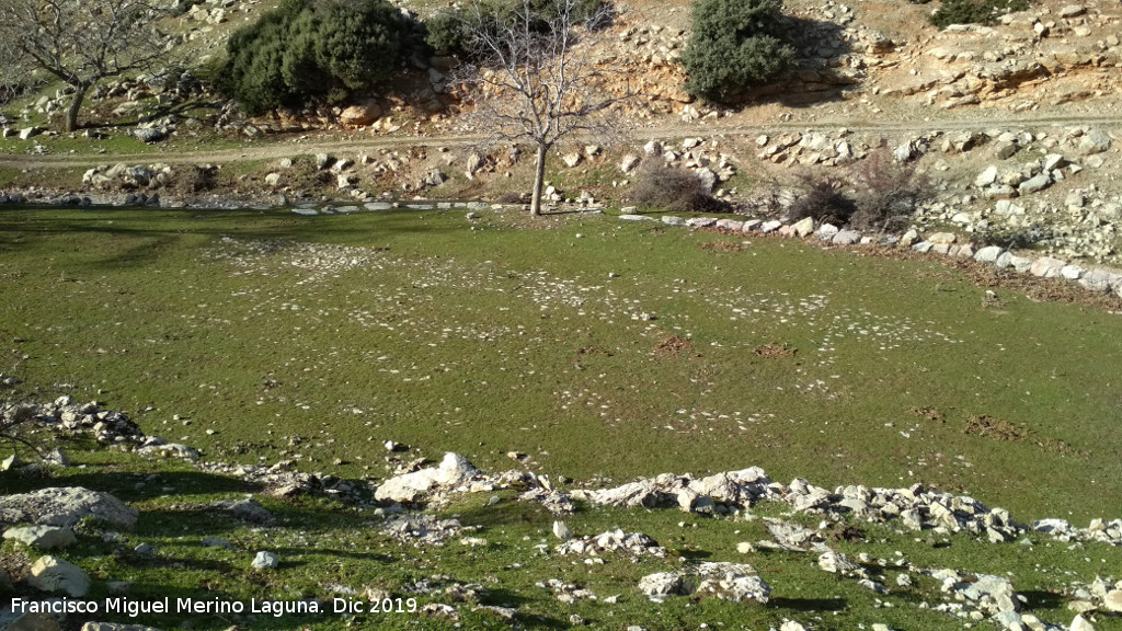 Era de las �nimas - Era de las �nimas. 