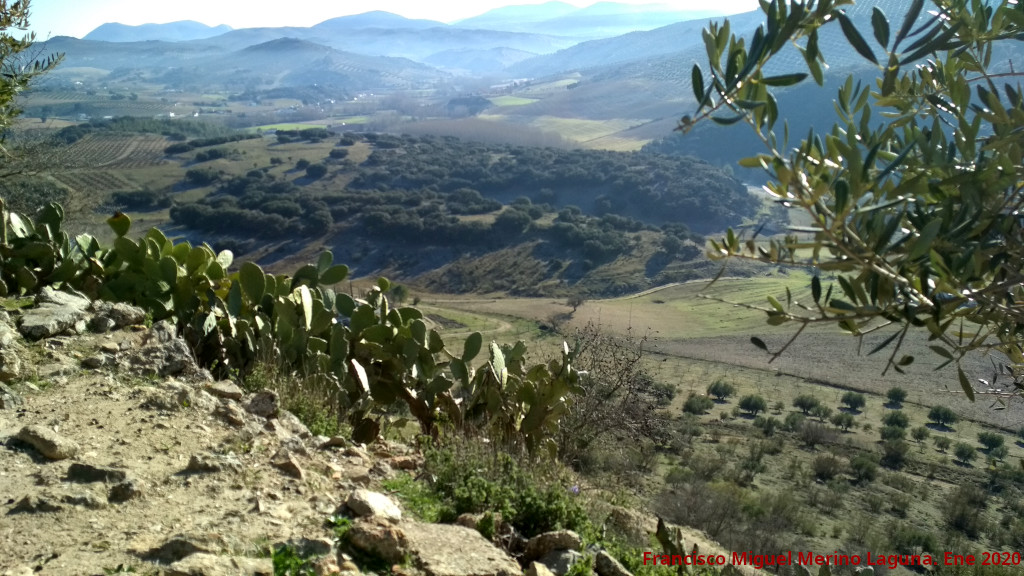 Oppidum de la Gineta - Oppidum de la Gineta. Vistas desde la muralla