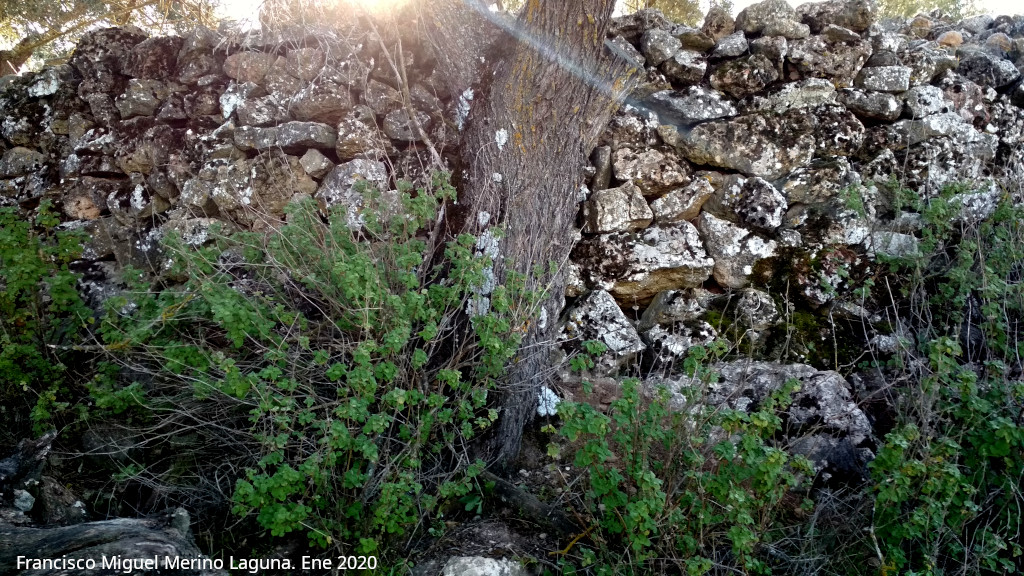Oppidum de la Gineta - Oppidum de la Gineta. Muralla