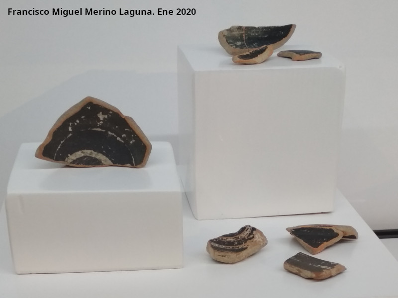 Cer�mica Campaniense - Cer�mica Campaniense. Palacio ibero del Cerro de la Merced - Cabra. Exposici�n en el Museo Ibero de Ja�n