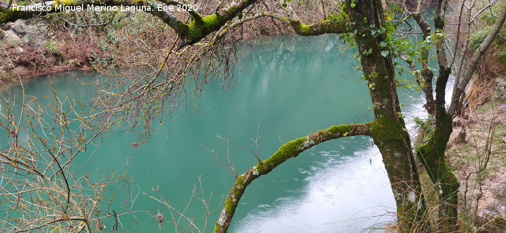 Pantaneta de la Cerrada de Utrero - Pantaneta de la Cerrada de Utrero. 