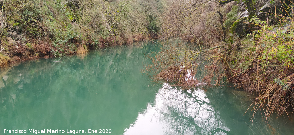 Pantaneta de la Cerrada de Utrero - Pantaneta de la Cerrada de Utrero. 