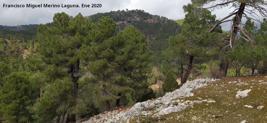 Caballo del Oso - Caballo del Oso. Desde los Riscos del Mailar
