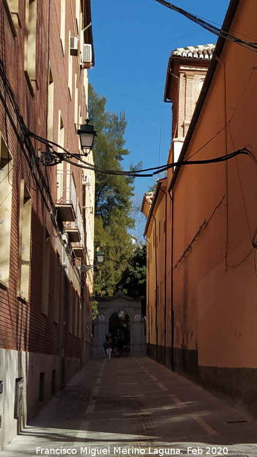 Calle Jard�n Bot�nico - Calle Jard�n Bot�nico. 