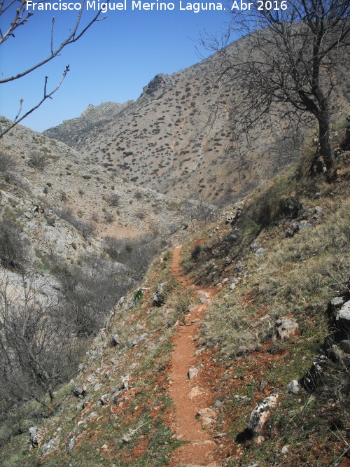 Cabecera del Ro Albanchez - Cabecera del Ro Albanchez. 