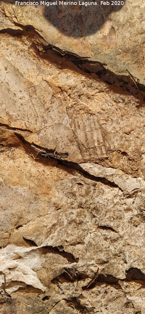 Abrigo del Reticulado - Abrigo del Reticulado. Situaci�n del reticulado