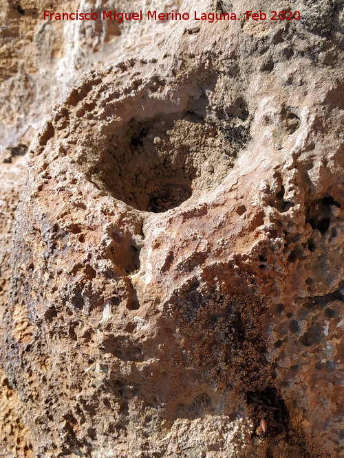 Abrigo de las Cazoletas de las Pe�as de Castro - Abrigo de las Cazoletas de las Pe�as de Castro. Cazoleta superior