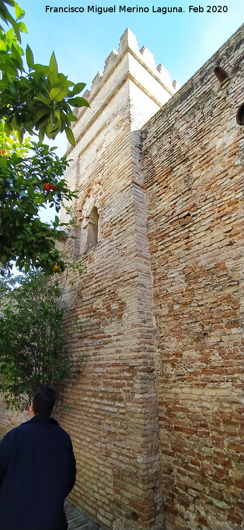 Alc�zar de Jerez. Mezquita - Alc�zar de Jerez. Mezquita. Minarete