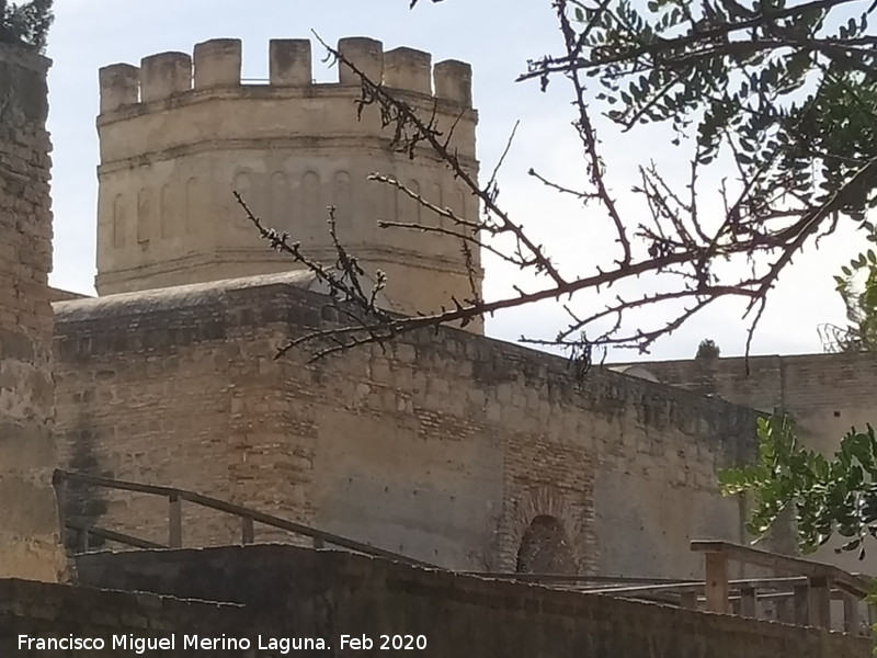 Alc�zar de Jerez. Aljibe - Alc�zar de Jerez. Aljibe. 