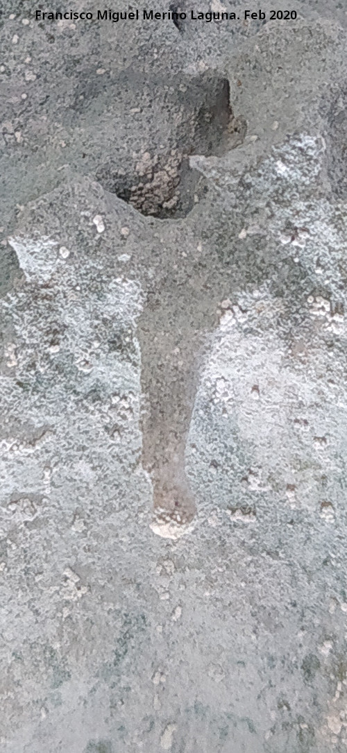 Cueva de la Cara - Cueva de la Cara. Estalagtita