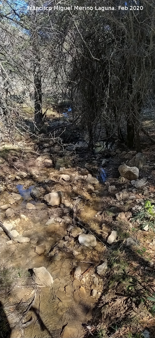 Arroyo del Barranco de la Ca�ada de las Fuentes - Arroyo del Barranco de la Ca�ada de las Fuentes. 