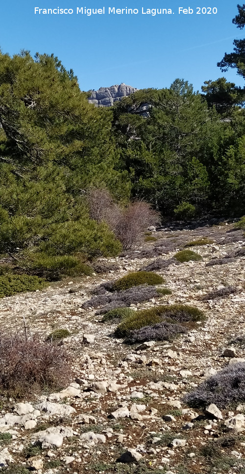 Loma de Cagasebo - Loma de Cagasebo. Al fondo el Caba�as