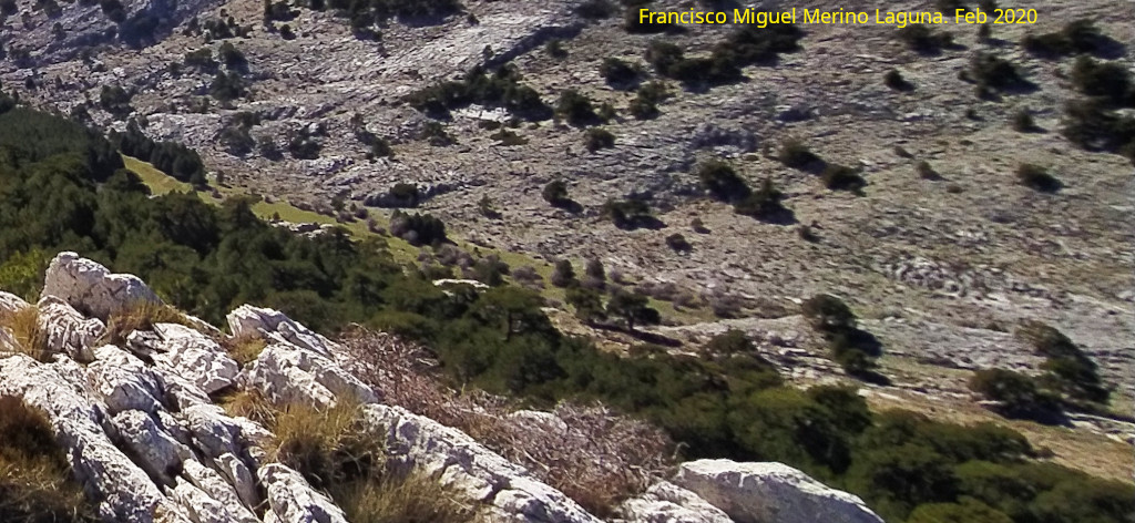 Prados de Travino - Prados de Travino. 