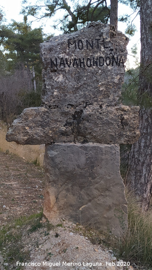 Hito del Monte Navahondona - Hito del Monte Navahondona. 
