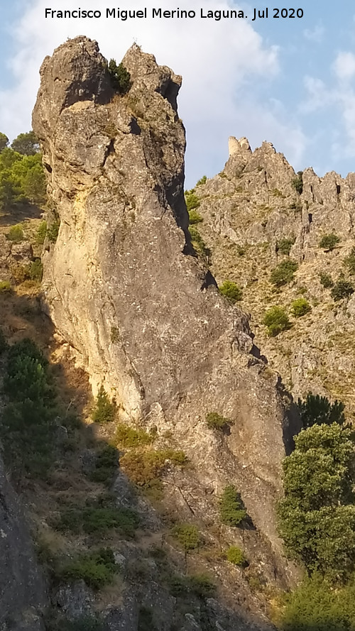 Muela de la Mocha - Muela de la Mocha. Al fondo el Torre�n de la Quebrada