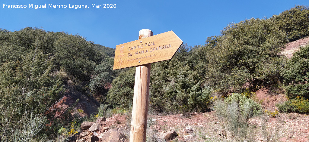 Ca�ada Real de Ja�n a Granada - Ca�ada Real de Ja�n a Granada. Cartel