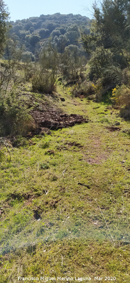 Ca�ada Real de Ja�n a Granada - Ca�ada Real de Ja�n a Granada. 