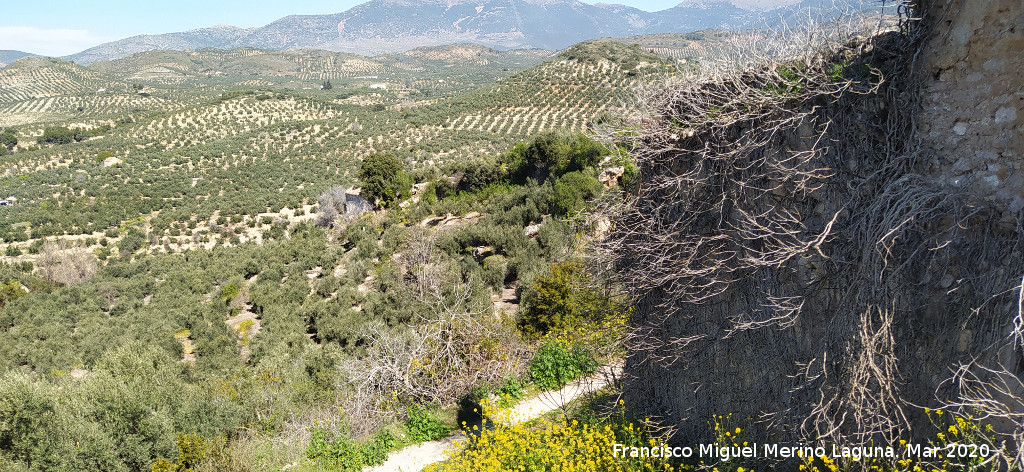 Cortijo de la Huerta - Cortijo de la Huerta. Vistas hacia el Cortijo de la Albardilla