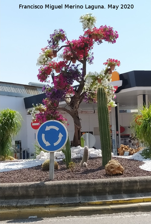 Rotonda de los Bomberos - Rotonda de los Bomberos. 