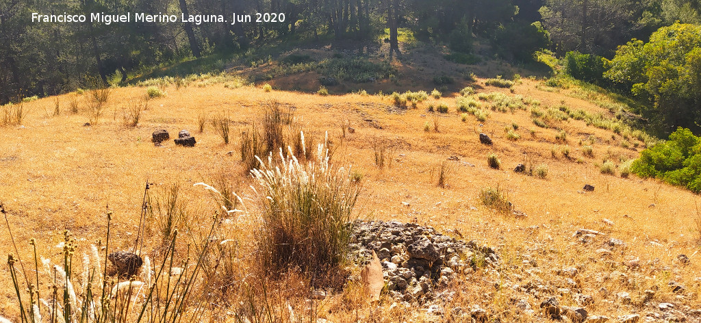 Collado de las Cabras - Collado de las Cabras. 
