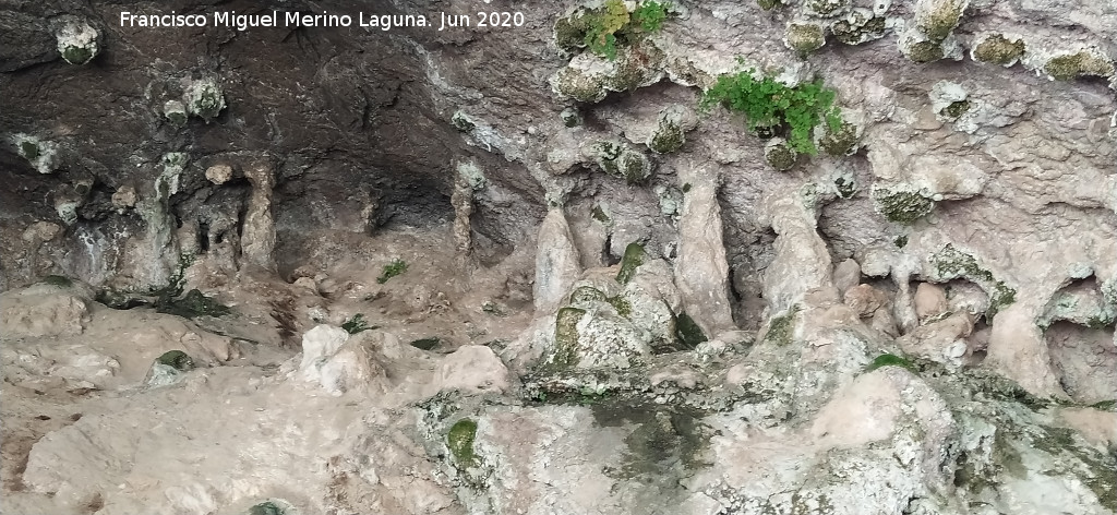 Eremitorio de las Grajas - Eremitorio de las Grajas. Espeleotemas