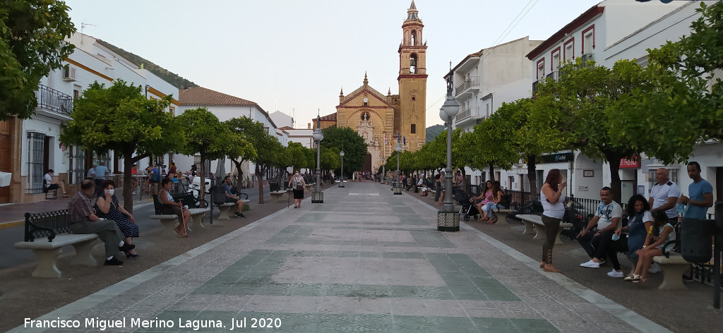 Plaza de la Constituci�n - Plaza de la Constituci�n. 