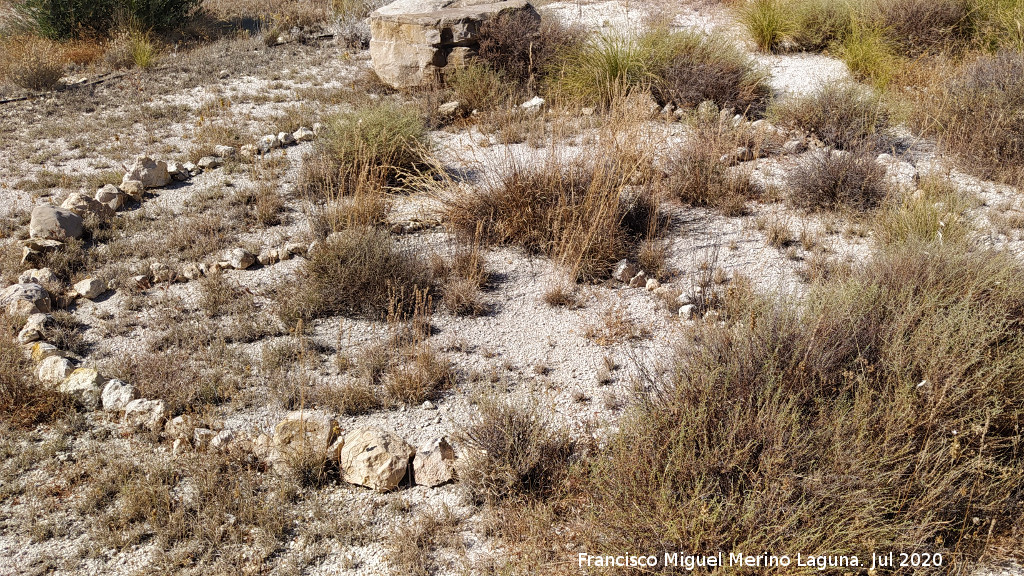 C�rculo del Cerro de la Mina - C�rculo del Cerro de la Mina. 
