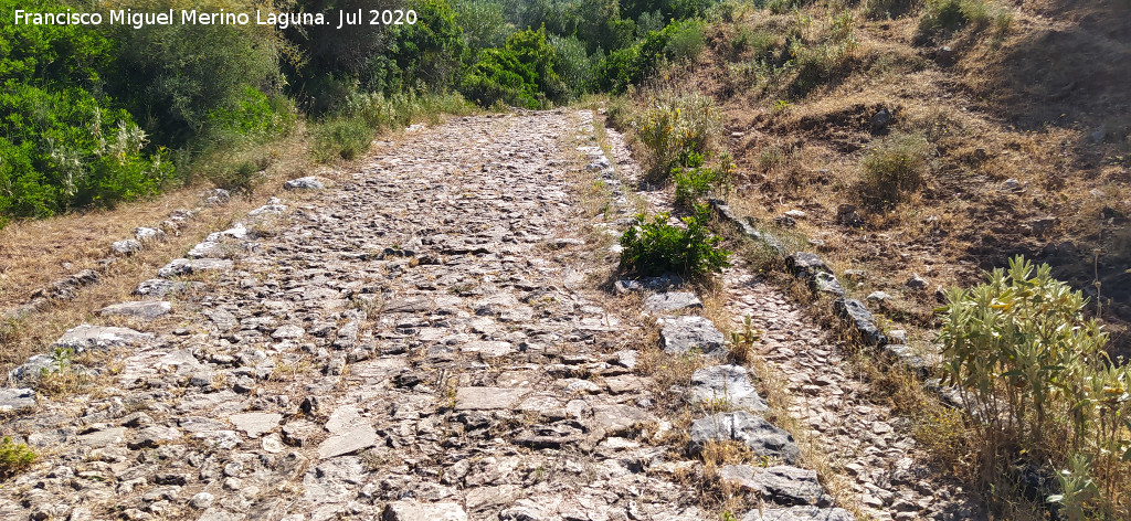 Calzada de Benaocaz a Ubrique - Calzada de Benaocaz a Ubrique. 
